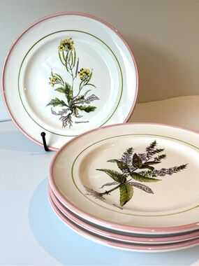 Vintage Set of 4 La Primula Italian Hand-Painted Botanical 8" Plates Pink Rim